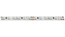 Светодиодная лента Geniled GL-120SMD2835 12В 12Вт/м 8х5000 Blue IP33